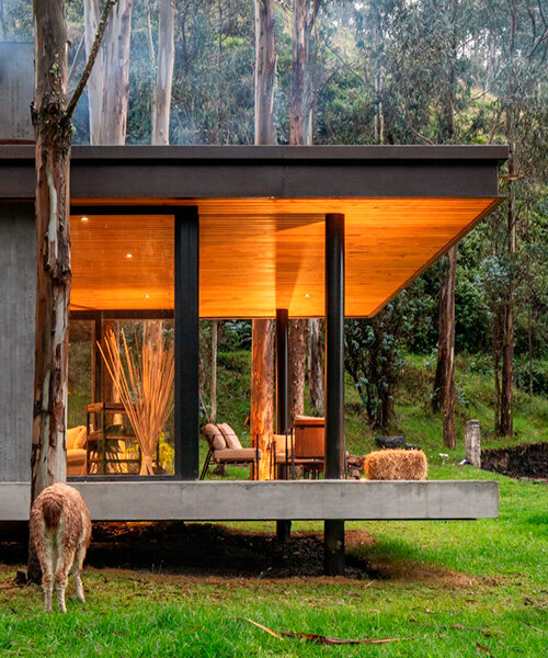 la casa 103  de bäuden architects emerge de los bosques de ecuador ofreciendo vistas panorámicas del lago