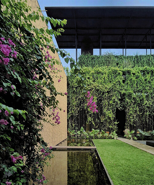cortinas de bambú, cristal y plantas trepadoras envuelven el complejo 'the vibes' en vietnam